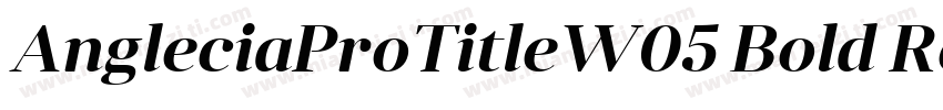 AngleciaProTitleW05 Bold Regular字体转换